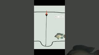 Download lagu mekanisme mancing teknik lobang ikan nila mp3 Download lagu mekanisme mancing teknik lobang ikan nila mp3