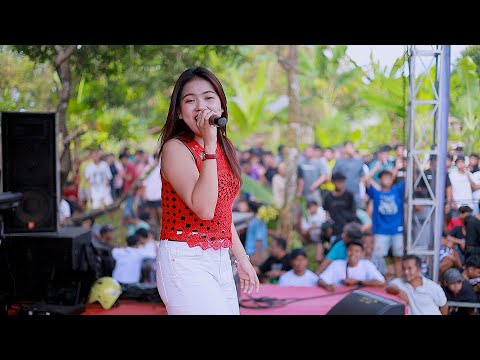 CAMELIA MUSIC - HARAPAN HAMPA - DINDA TERATU - HAPPY PARTY CARTEL COMMUNITY - BANGSRI JEPARA