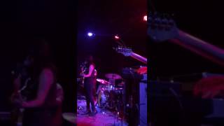 The Spirit of the Beehive l The Social l Orlando, FL 2017