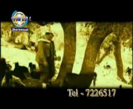 Tehsin Taha - Berivane