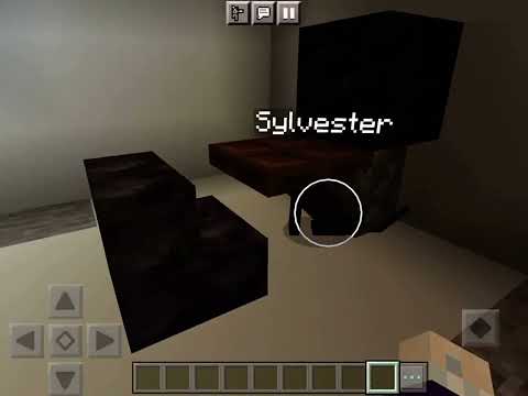 Talking kitty cat in Minecraft-21 free dog