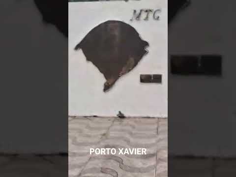 PORTO XAVIER