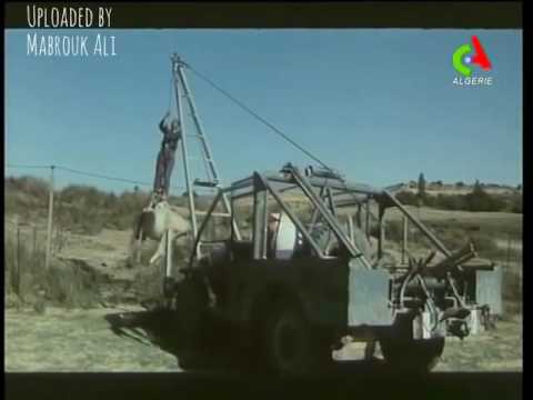 Le Moulin de Monsieur Fabre (1983)