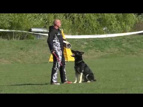 MM MSKS Zbraslav 2018 - Slámová Monika - Logar z Trojmezí - obrana/defense