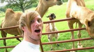 The Feeling - New Kutless Song!!!