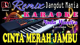 Download lagu Cinta Merah Jambu - Karaoke Nada Wanita (Lavenia) Dj Mix Dut Orgen Tunggal Terbaru mp3