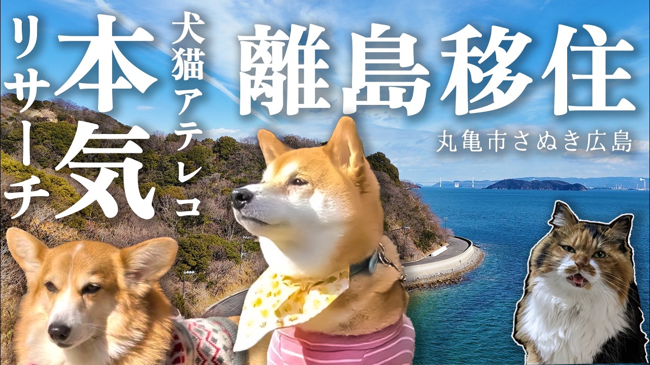 【大長編】島の記憶を、次の世代へ。柴犬スティーブが見たさぬき広島の物語【丸亀市×柴犬スティーブch】