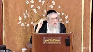 הרה"ג הרב וועכטר שליט"א ד' כסלו תשפ"ו - מאמר הרבי הריי"צ תש"ח ד"ה ויחלם והנה סלם מצב ארצה חלק ח (הרב אברהם מנחם מענדל וכטר) - התמונה מוצגת ישירות מתוך אתר האינטרנט יוטיוב. זכויות היוצרים בתמונה שייכות ליוצרה. קישור קרדיט למקור התוכן נמצא בתוך דף הסרטון