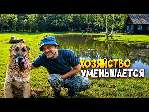 Жизнь в гармонии с природой. Реставрация заброшеного дома, пруды, огороды, животные и любовь.
