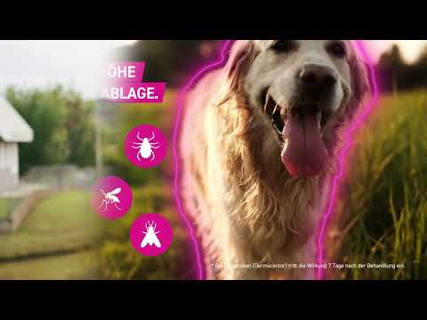 Produktvideo