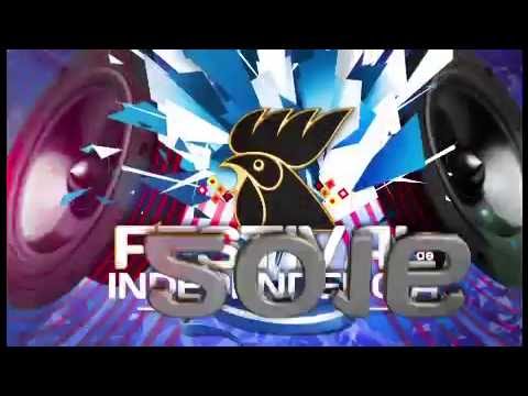 Gallo Festival Independencia 2016