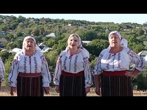 Ansamblul Doina satului Cașunca