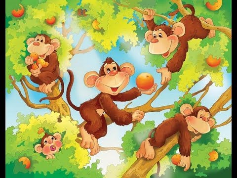 Макака или Мартышка?