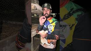 Infelizmente muita gente ruim nesse mundo , olha o que fizeram com o coelhinho !!