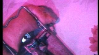 Robyn Hitchcock  "Queen Elvis"