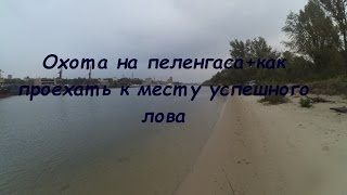 Где ловиться рыба в ростове на дону