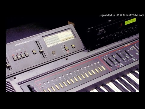 Seiko DS-250 multitracked demo with Rhythm Ace FR-2L