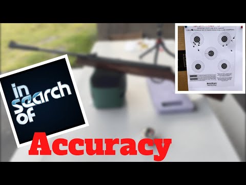 Hatsan Model 95 .25 cal - testing pellets