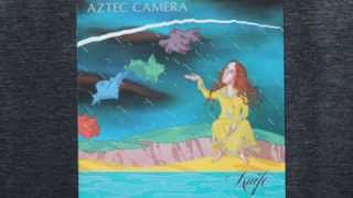 AZTEC CAMERA　ALL　I　NEED IS EVERYTHING