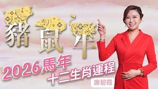 2026年丙午馬年 十二生肖運程(豬,鼠,牛) |屬豬的朋友跟太歲無沖無合 今年是你們 的XXXX年| 屬鼠的朋友緊記XXXXX字對運勢有所提升|屬牛的朋友今年有三大吉星