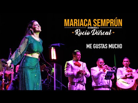 I Like You A Lot - Live