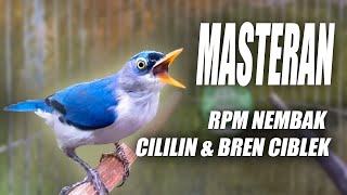 Download lagu MASTERAN RAMBATAN PARUH MERAH GACOR NEMBAK ISIAN CILILIN & BREN CIBLEK ROLL PANJANG -SUARA RPM GACOR mp3