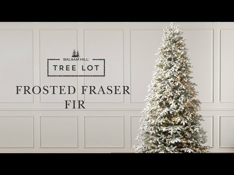 つや消しフレーザーファー木の敷地