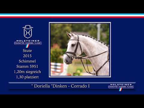 Holsteiner Elite-Reitpferdeauktion | Nr. 117 - Doriella