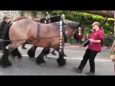 Mei-Den Halen Mheer 2019 - Hoesberg Mheer