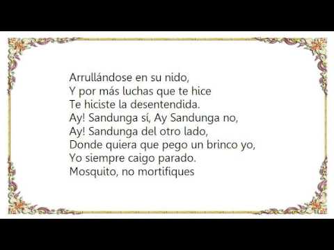 Chavela Vargas - La Zandunga Lyrics