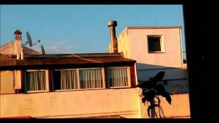 Javier Segura ‎– Nostalgia De Lo Humano