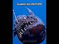 Scariest Sea Creatures