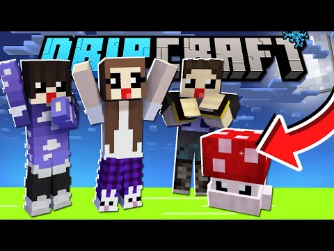 DRIPCRAFT | EM BUSCA DE BICHINHOS FOFINHOS! | EP.07 Minecraft 1.16.5
