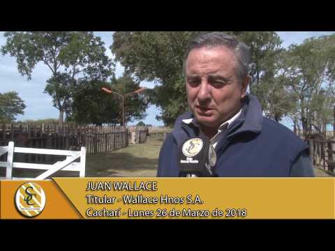 26-03-18 Nota Juan Wallace - Wallace Hnos S.A. - Cacharí.