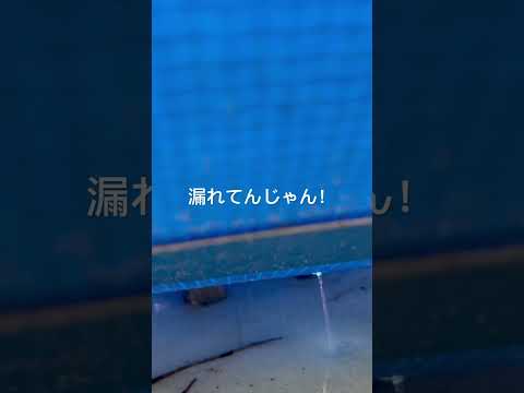 インフレータブルプールの穴を見つけるにはどうすればよいですか?簡単ですぐにできる方法は次のとおりです  庭園