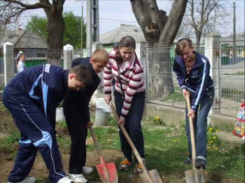 Liceul Tehnologic Nisiporesti