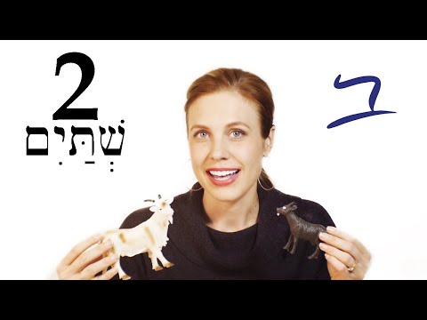 Biblical Hebrew - Plural Nouns & Adjectives - Lesson 2