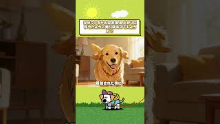 #映画 #犬の豆知識 #犬のいる暮らし #犬好き