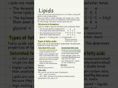 Lipids  biochemistry class 11 #biolab #neet2025