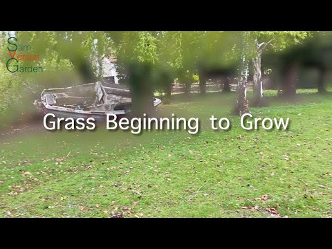 Grass Growing Timelapse + New Lawn Progress