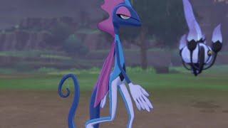 [ポケモン剣盾]御 三 家 最 強[プレイヤー：こうは]