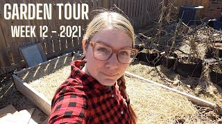 FULL INDOOR & OUTDOOR GARDEN TOUR | WEEK 12 | 2021 | Growing Food in Small Spaces