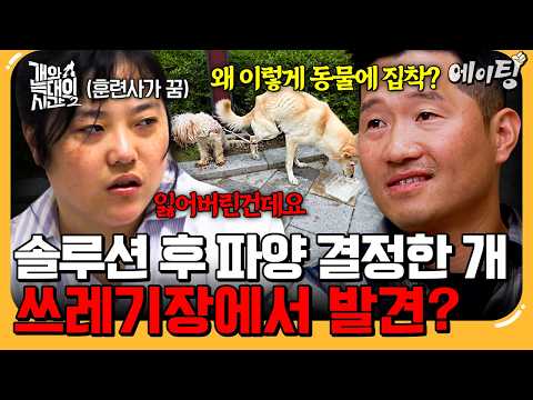 [#에이팅] 솔루션 후 파양 결정한 개 세 마리가 쓰레기장에서 발견😱!? 자긴 동물 때문에 산다고 울면서 데려간다는 보호자ㄷㄷ | #개와늑대의시간2 20회