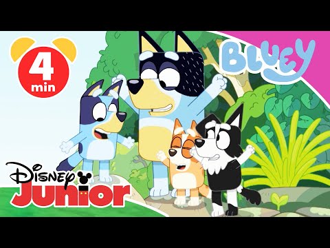 💙 Bluey - Mach mit! - Super-Fan Quiz | Disney Junior
