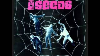 The Seeds - Mr. Farmer  (1966)
