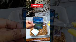 Please Dont Like!! This is very expensive pokemon card 😢 #pokemoncards #pokemontcg