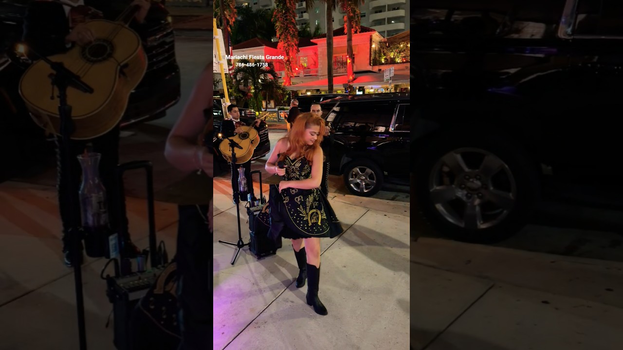 Promotional video thumbnail 4 for Mariachi Fiesta Grande, Miami Florida