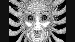 Ty Segall Band - Muscle Man