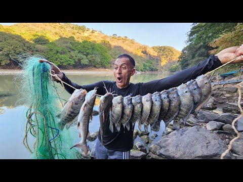 Don jose hace una tremenda ensarta de mojarra