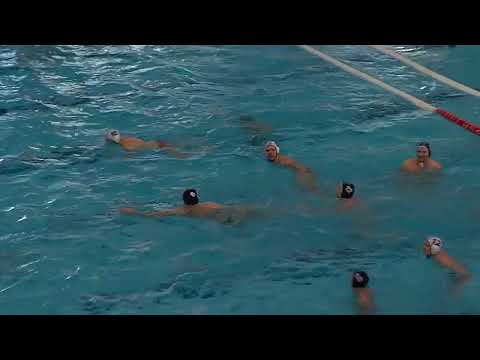 Videó előnézet